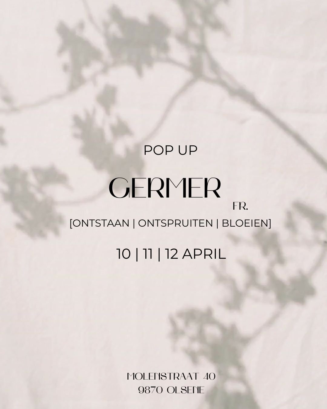 Pop up Germer 1