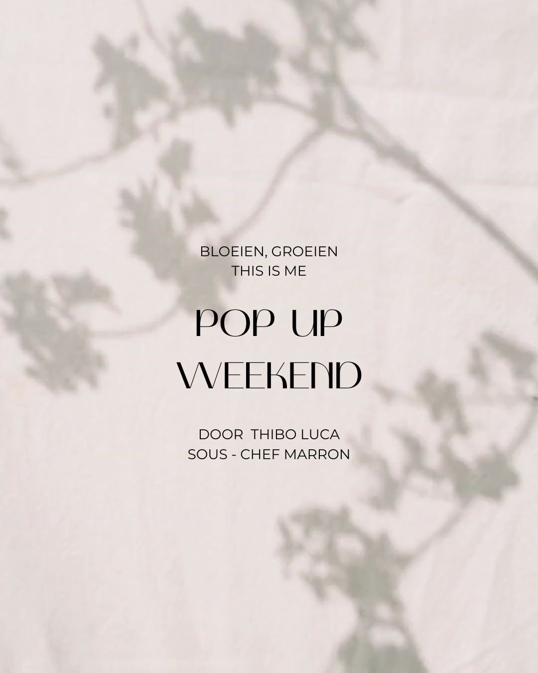 Pop up Germer 2